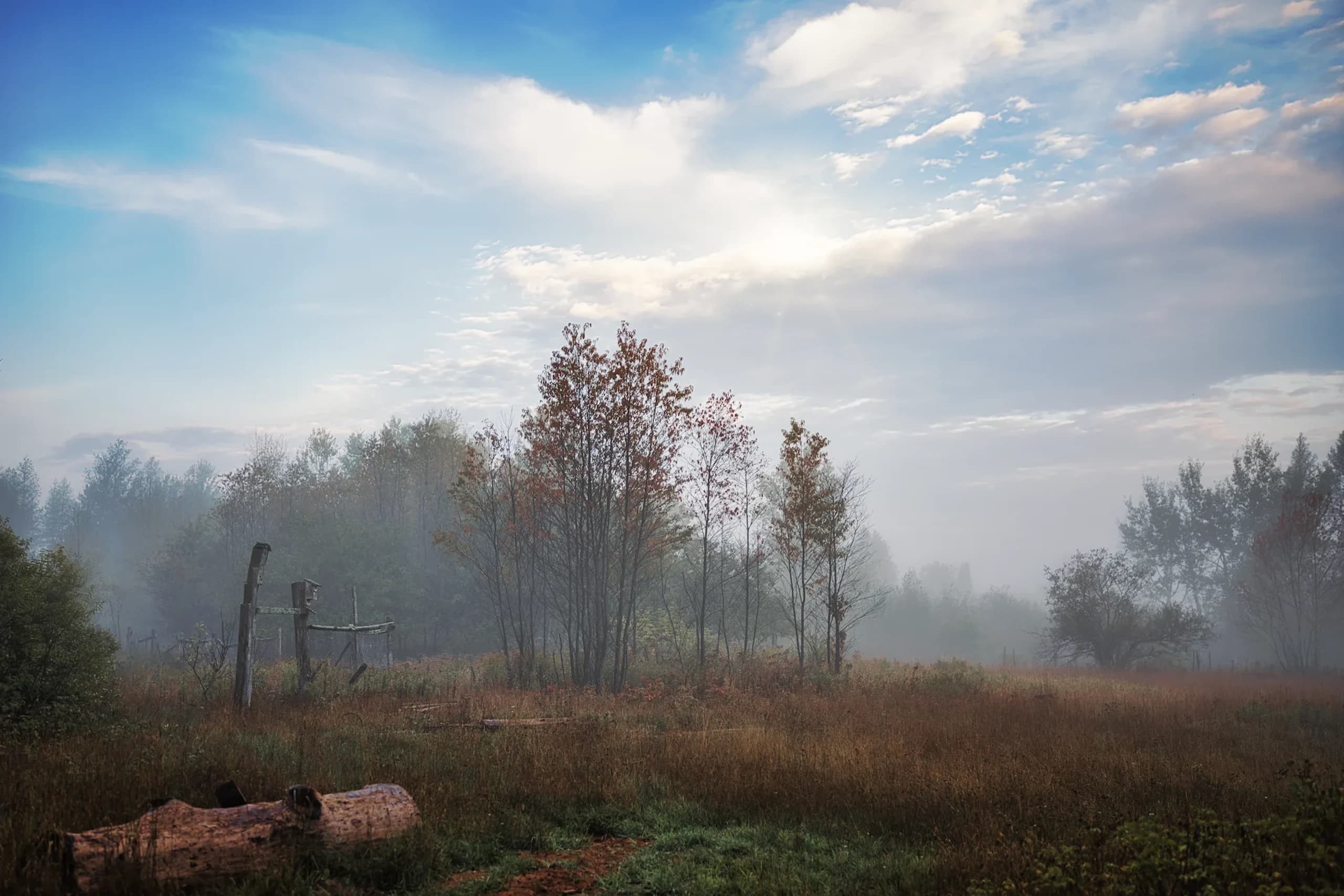 Foggy autumn meadow at dawn — soft light through the mist